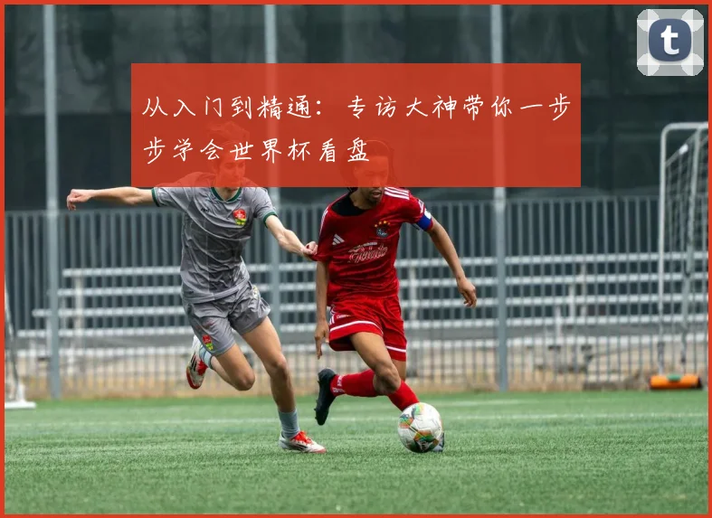 从入门到精通：专访大神带你一步步学会世界杯看盘