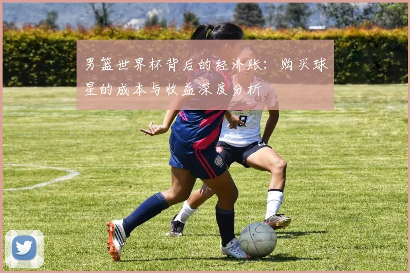 男篮世界杯背后的经济账：购买球星的成本与收益深度分析