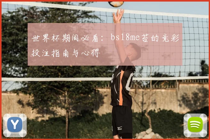 世界杯期间必看：bs18me苔的竞彩投注指南与心得