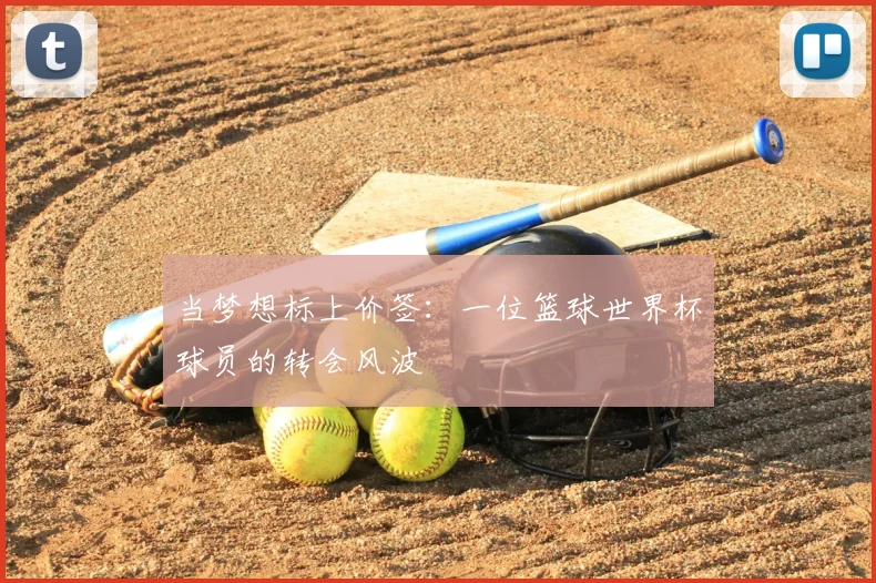 当梦想标上价签：一位篮球世界杯球员的转会风波